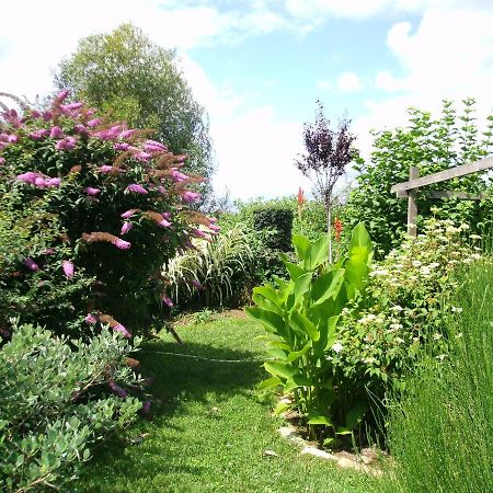 Le Bord De L'Eau Bed & Breakfast Sainte-Terre Екстериор снимка