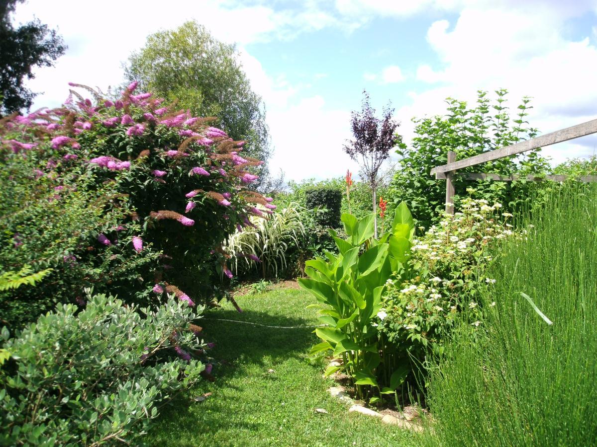 Le Bord De L'Eau Bed & Breakfast Sainte-Terre Екстериор снимка