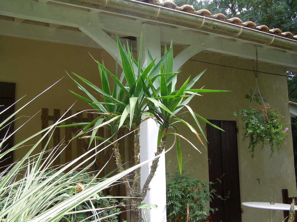 Le Bord De L'Eau Bed & Breakfast Sainte-Terre Екстериор снимка
