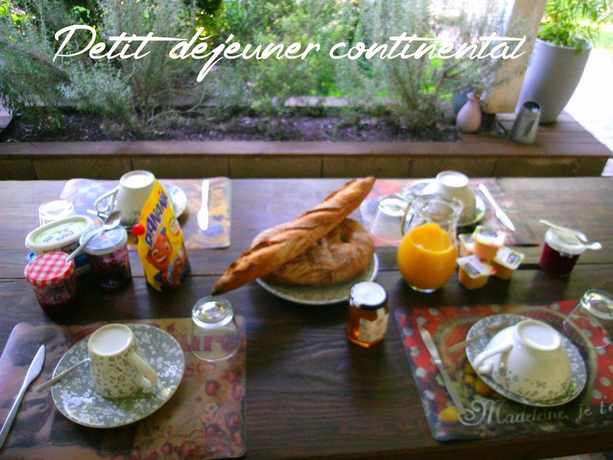 Le Bord De L'Eau Bed & Breakfast Sainte-Terre Екстериор снимка